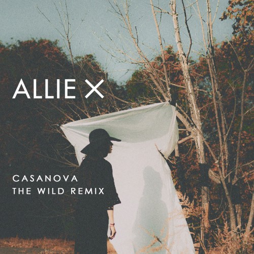 Casanova (The Wild remix)封面