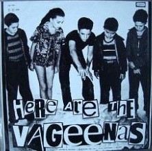 Here Are The Vageenas封面