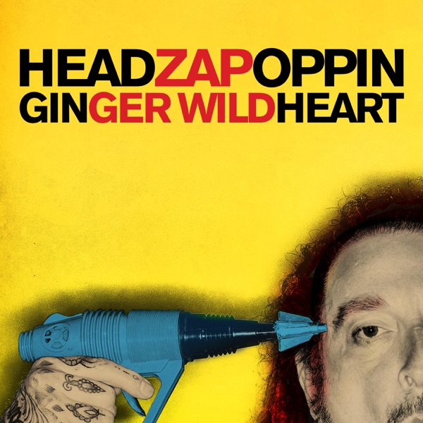 Headzapoppin封面