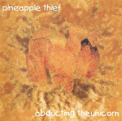 Abducting the Unicorn封面