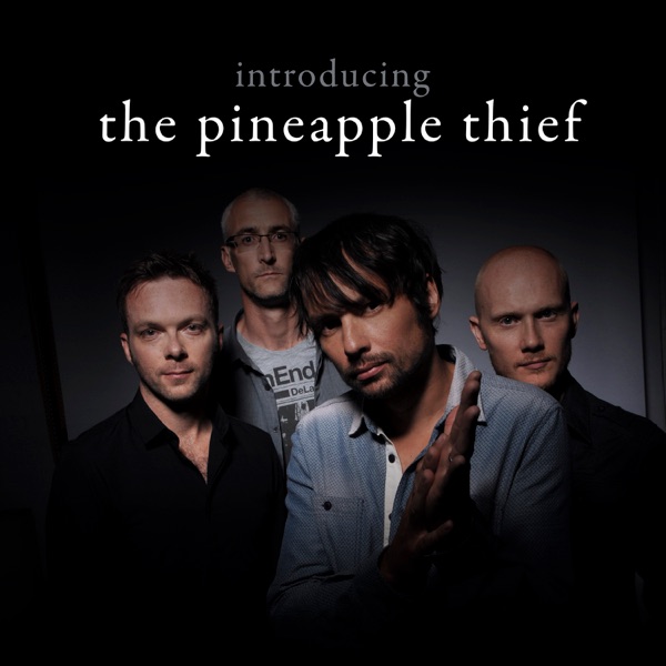 Introducing The Pineapple Thief封面