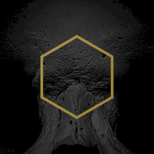 Primal (State of Being)封面