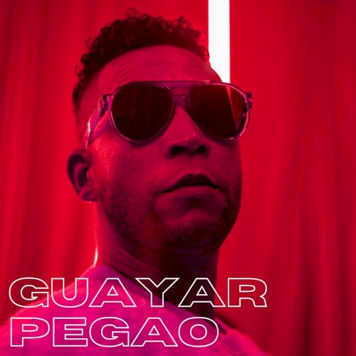 Guayar pegao封面
