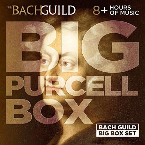 Big Purcell Box封面