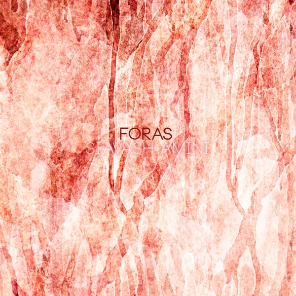 FORAS封面