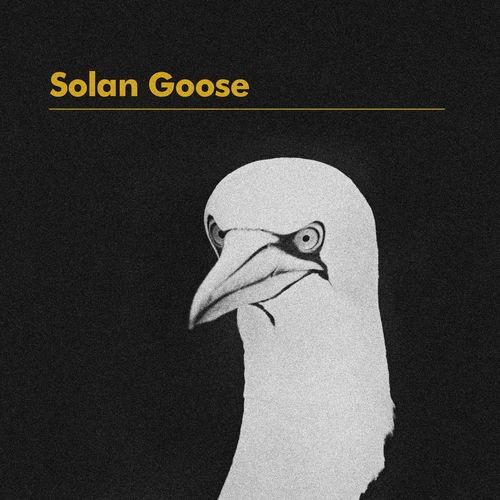 Solan Goose (Radio Edit)封面