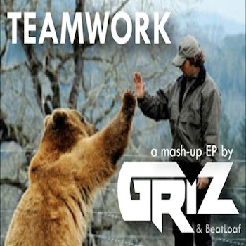 TeaMWork封面