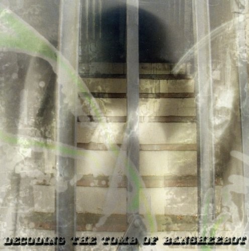 Decoding the Tomb of Bansheebot封面