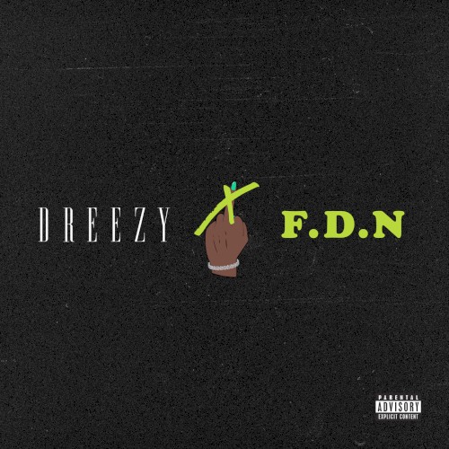 F.D.N封面