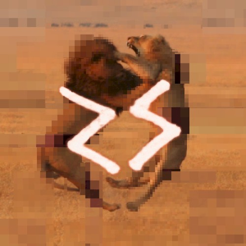 A N G E L S + A N I M A L S封面
