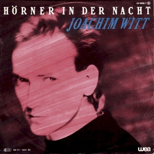 Hörner in der Nacht封面
