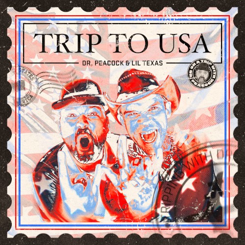 Trip to USA封面