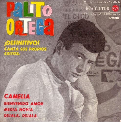 Camelia封面