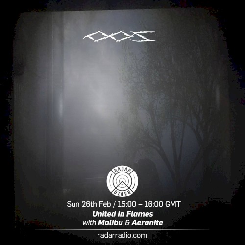 United in Flames Mix 005封面