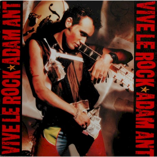 Vive le Rock封面