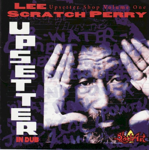 Upsetter in Dub封面
