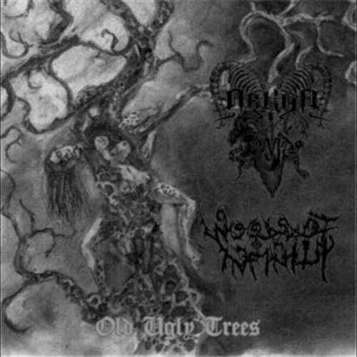 Old Ugly Trees封面