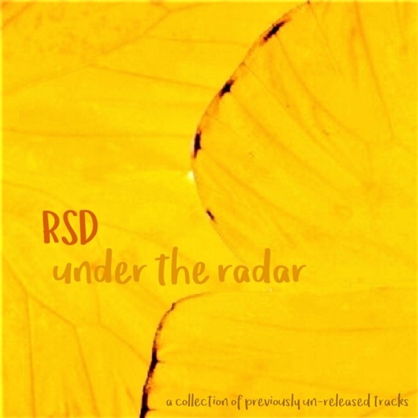 Under the Radar封面