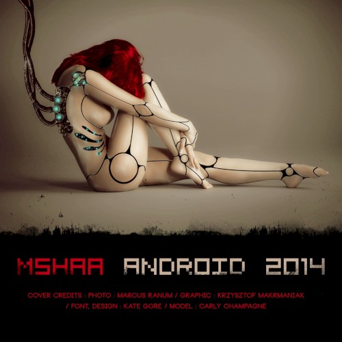Android 2014封面