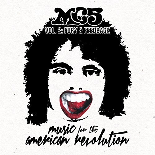 Music for the American Revolution, Vol. 2: Fury & Feedback封面