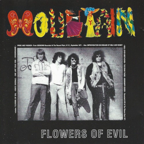 Flowers of Evil封面