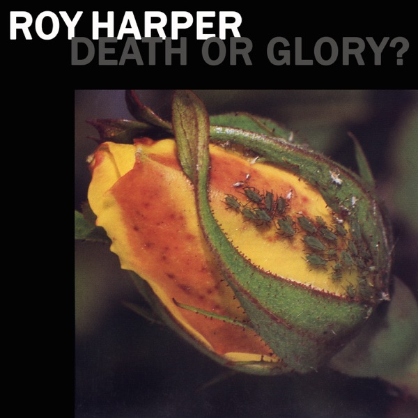 Death or Glory?封面
