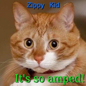 It’s So Amped封面