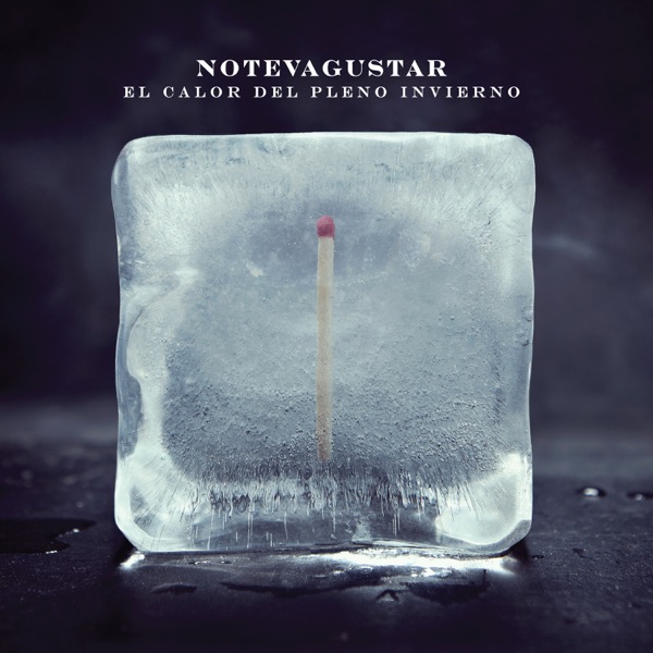 El calor del pleno invierno封面