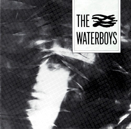 The Waterboys封面
