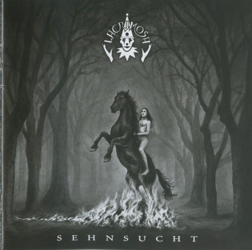 Sehnsucht封面