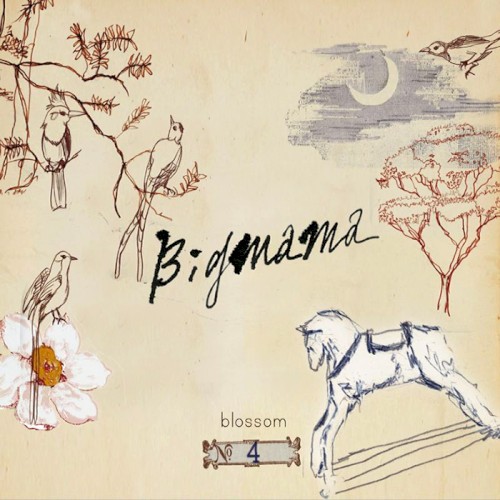 Blossom封面
