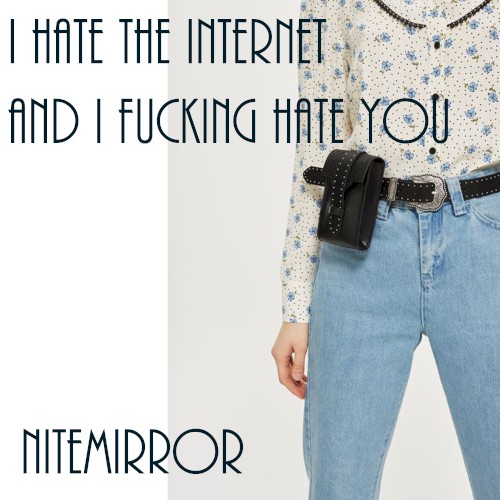 I Hate the Internet and I Fucking Hate You封面