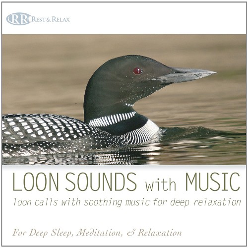 Loon Sounds With Music: Loon Calls With Soothing Music for Deep Relaxation封面