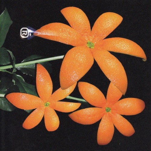 花封面