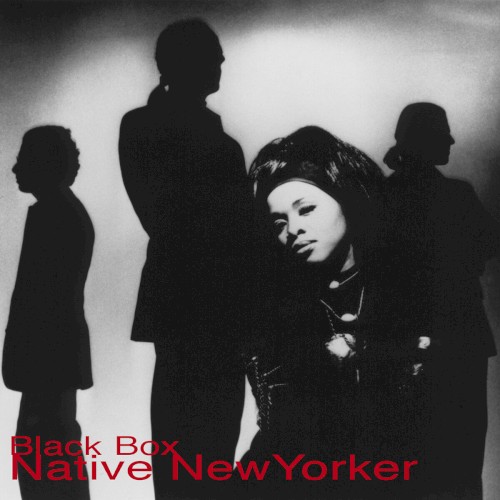 Native New Yorker封面