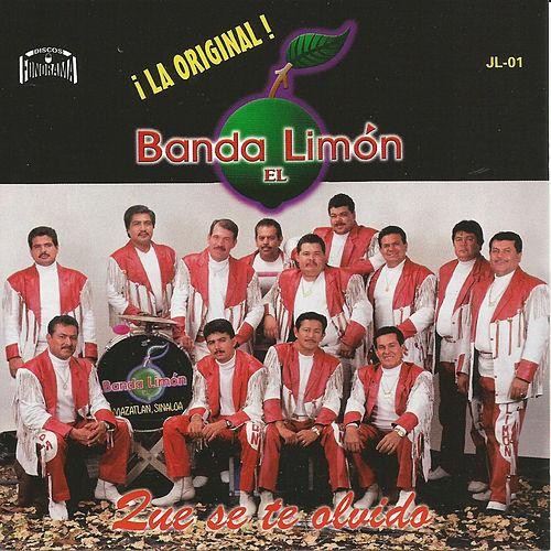 Me caíste del cielo封面
