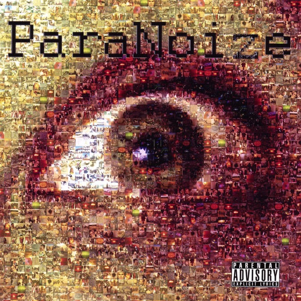 ParaNoize封面