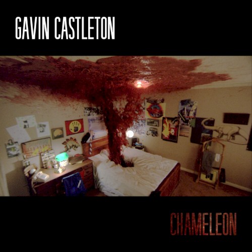 Chameleon封面