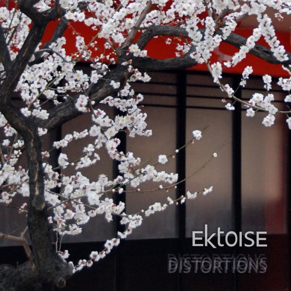 Distortions封面