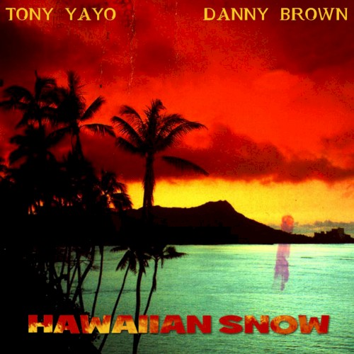 Hawaiian Snow封面