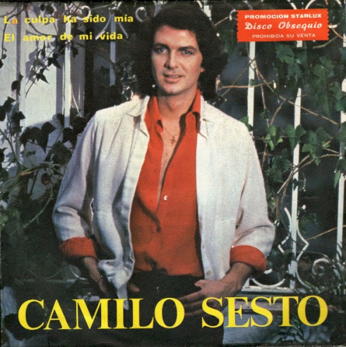 La culpa ha sido mía / El amor de mi vida封面