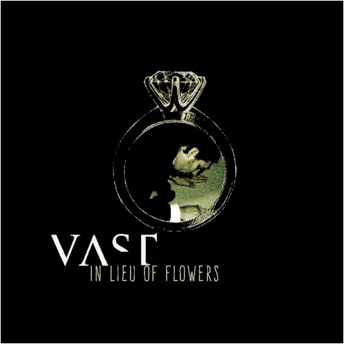 In Lieu Of Flowers封面