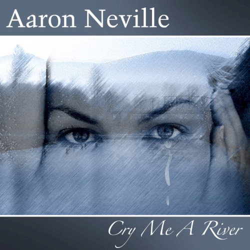 Cry Me a River封面