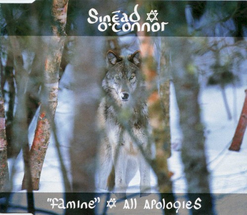 Famine / All Apologies封面
