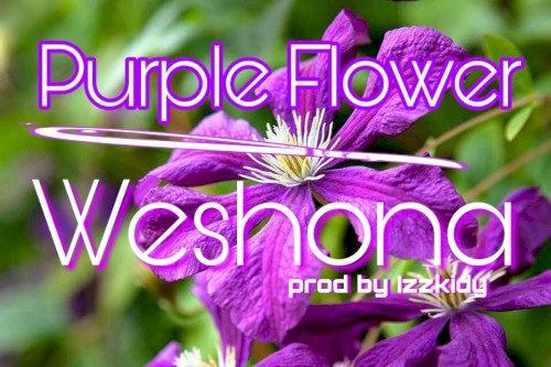 Purple Flower封面