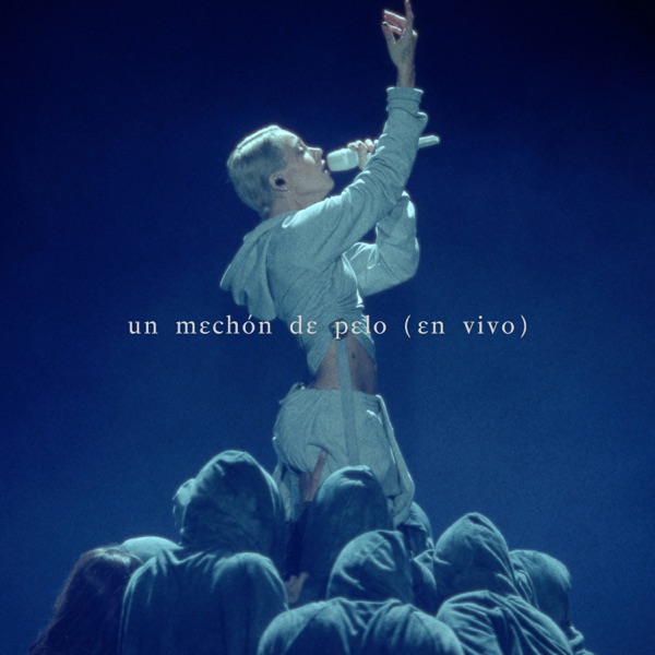 un mechón de pelo (en vivo)封面