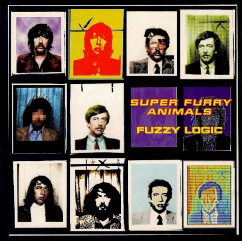 Fuzzy Logic封面