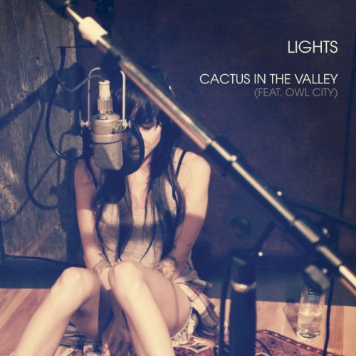 Cactus in the Valley (acoustic)封面