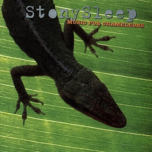 Music for Chameleons封面