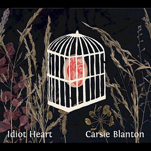Idiot Heart封面